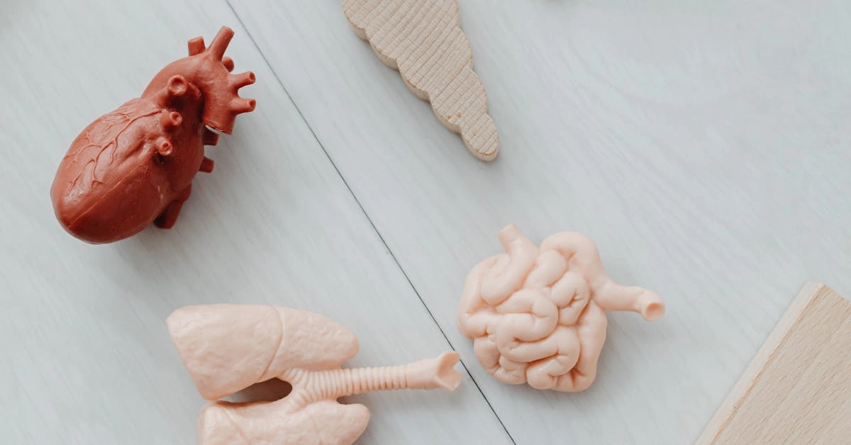 Влияние азартных игр на мозг и психическое здоровье человека